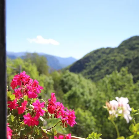 L'aramu - Casa Antonietta - Di Macra Aramola