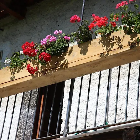 Venkovský dům L'aramu - Casa Antonietta - Di Macra