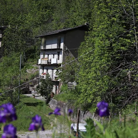 L'aramu - Casa Antonietta - Di Macra Aramola