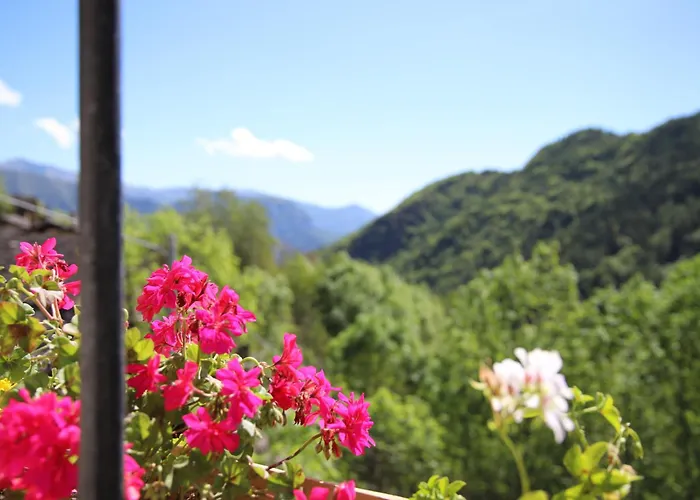 L'aramu - Casa Antonietta - Di Macra Aramola