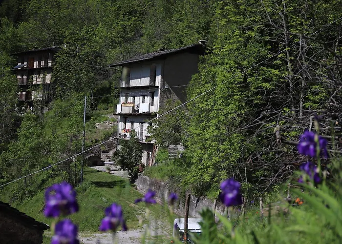 L'aramu - Casa Antonietta - Di Macra Aramola